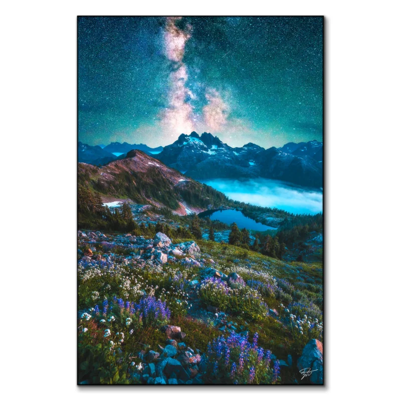 Starry Alpine Dreamland Cool Wall Art by Zach Doehler