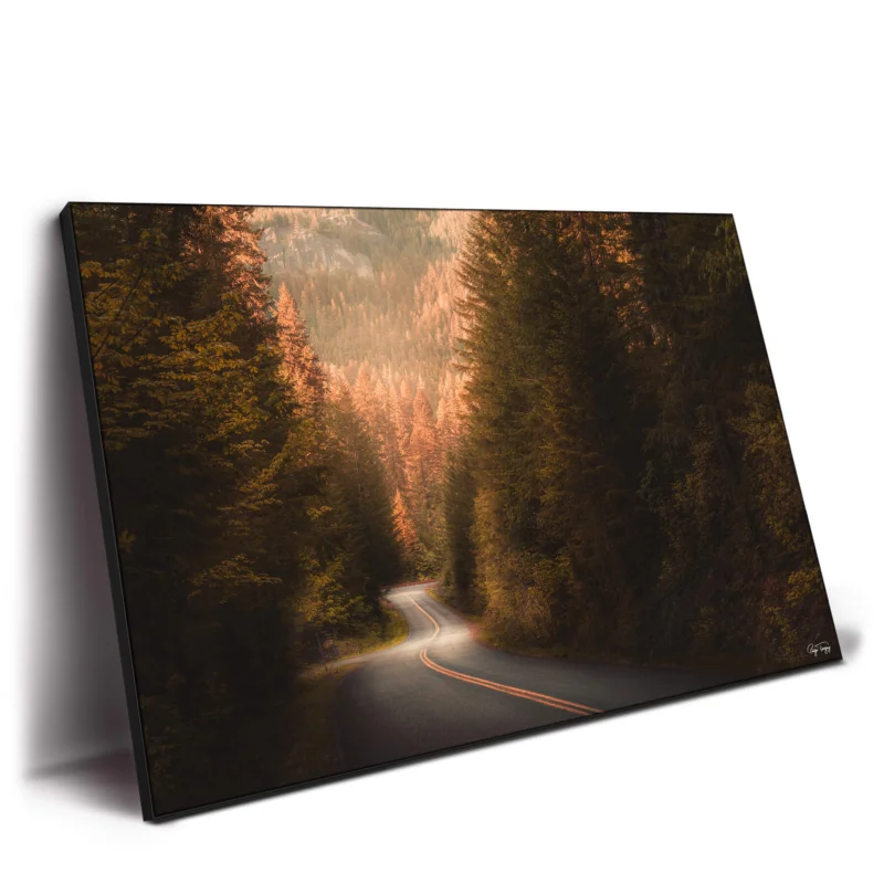 Road to Nowhere Brown Wall Decor by Paige Tingey