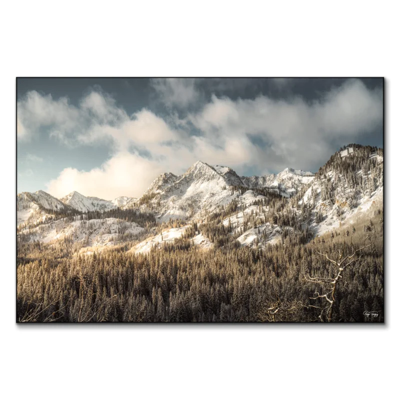 Snowy Peaks Cool Wall Art by Paige Tingey