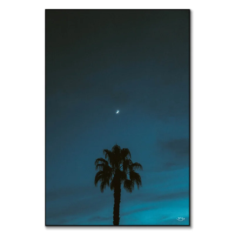 Midnight Moon Dark Wall Art by Zachary Snellenberger