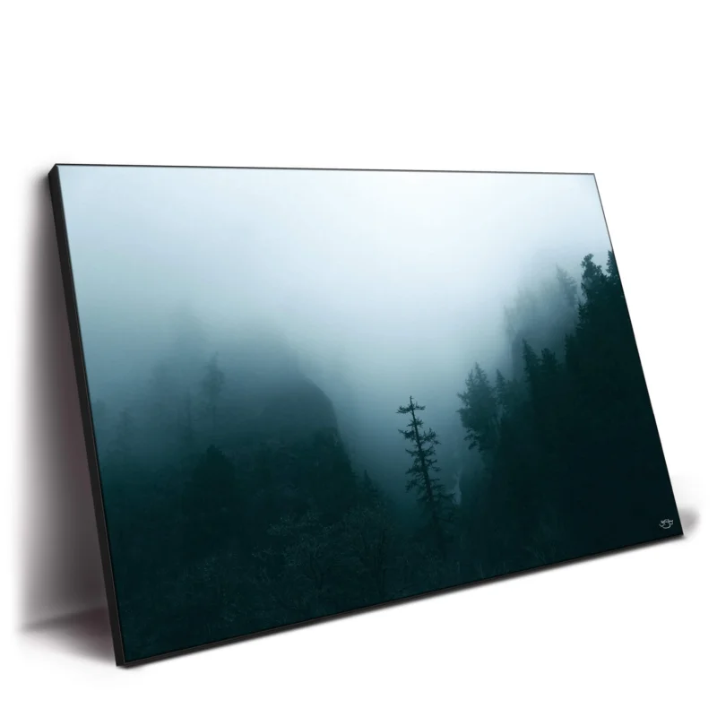 Winter Forest Fog Dark Wall Decor by Zachary Snellenberger