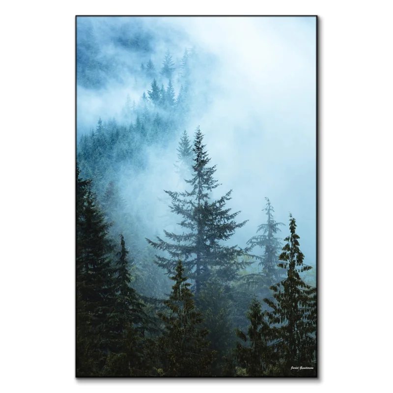 Hazy Treetops Cool Wall Art by Jared Q. Gunderson