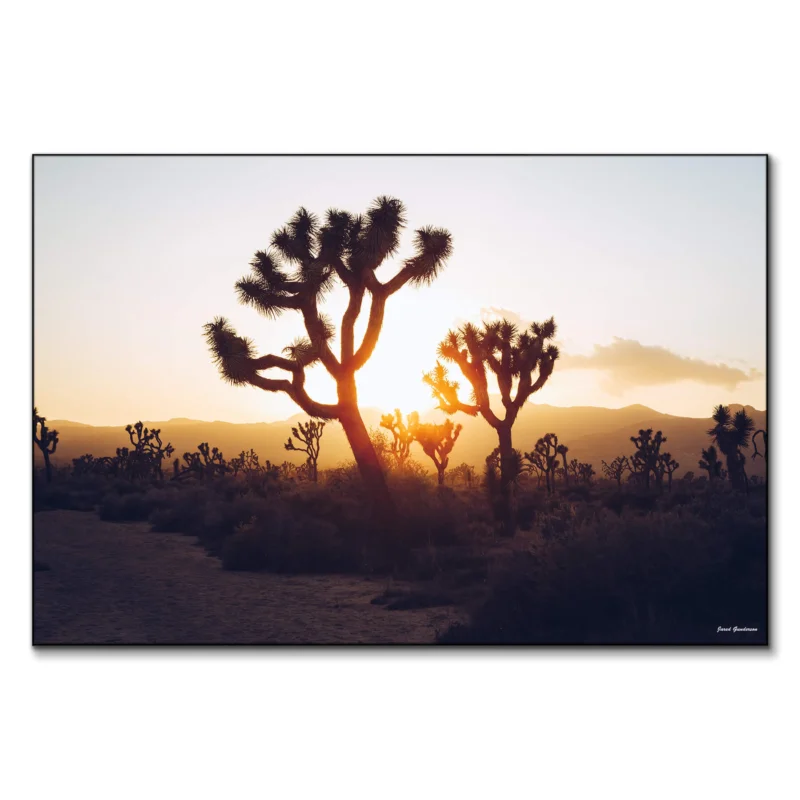 Desert Sunrise Warm Wall Art by Jared Q. Gunderson