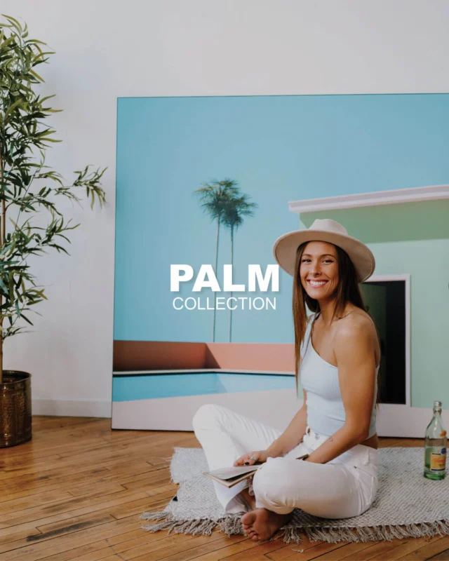 Palm Tree - Image #1